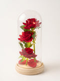 The Enchanted Trinity – Triple Red Rose LED Glass Dome