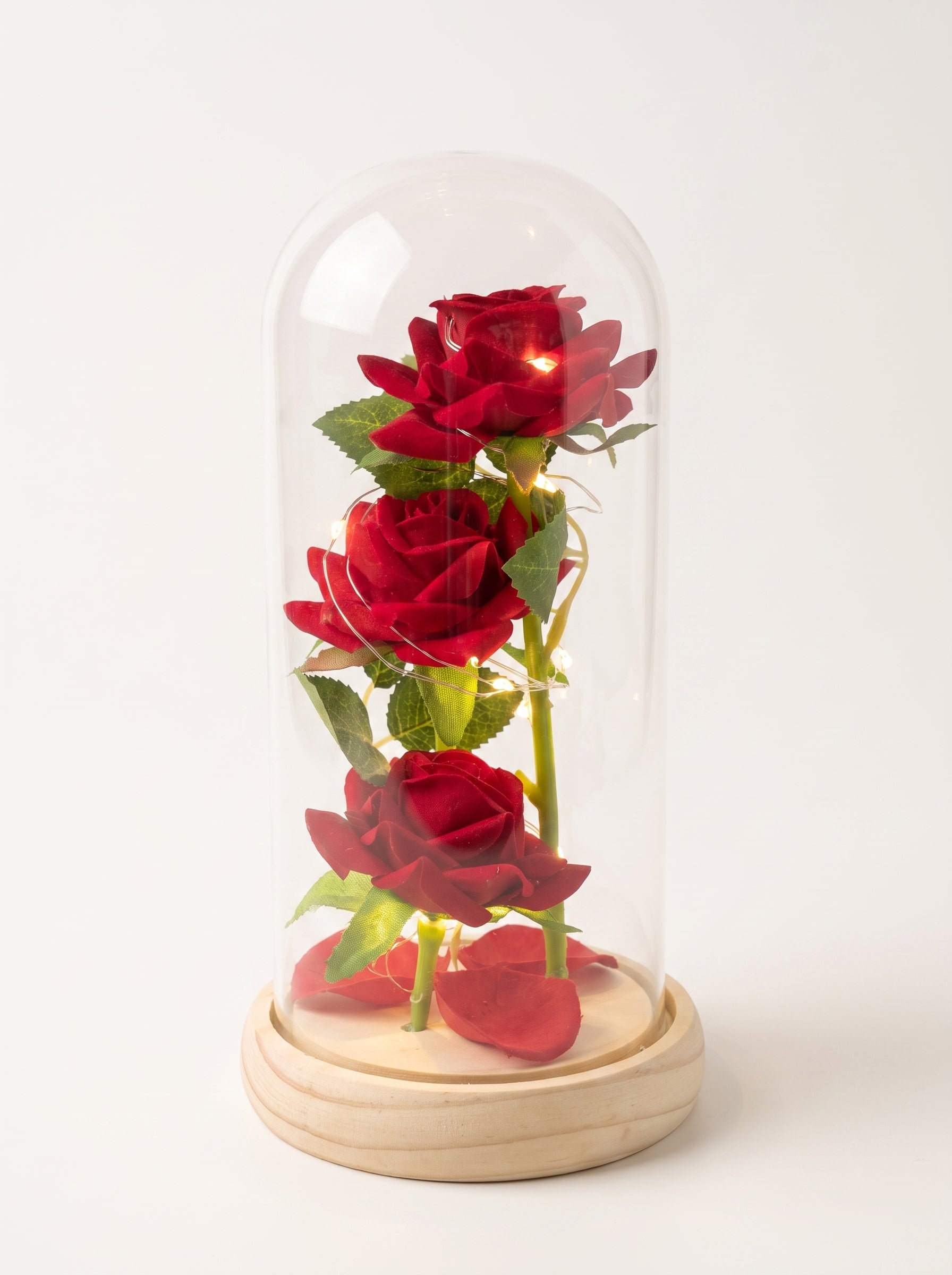 The Enchanted Trinity – Triple Red Rose LED Glass Dome
